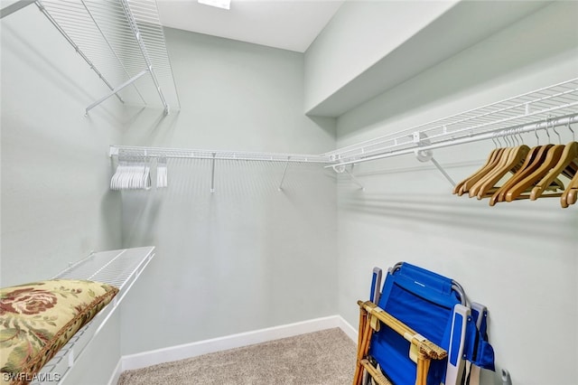 spacious closet featuring light colored carpet