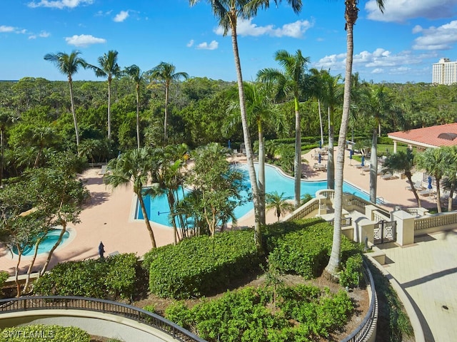 view of pool featuring a patio area