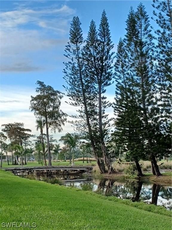 view of water feature