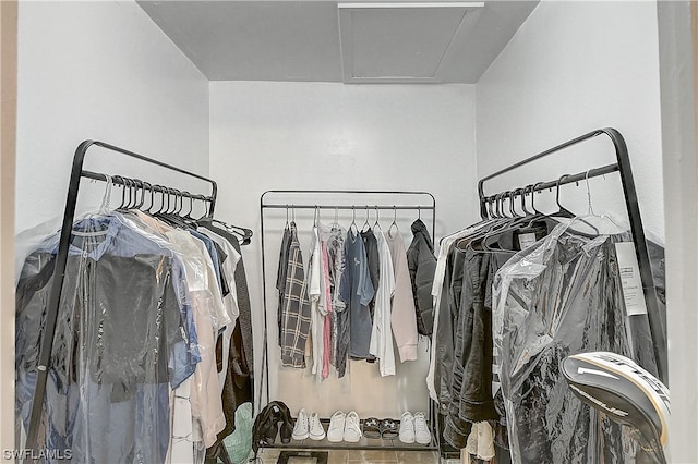 view of spacious closet