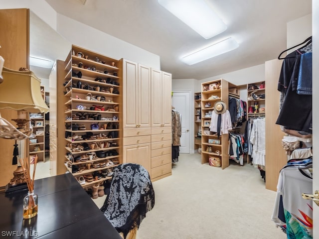 spacious closet featuring light colored carpet