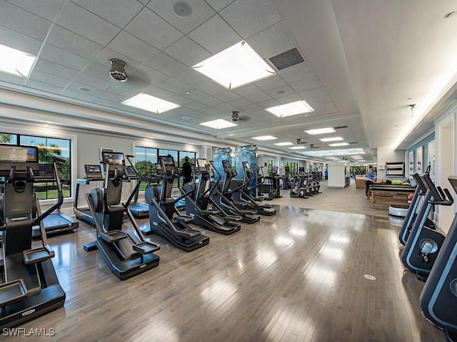 gym featuring a drop ceiling and wood-type flooring