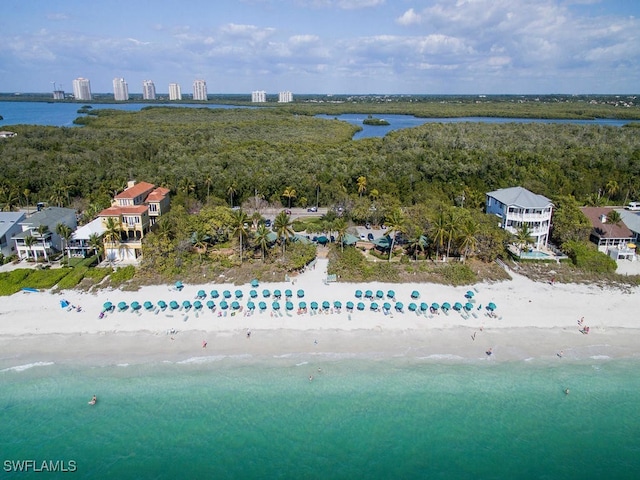 aerial view with a water view and a view of the beach