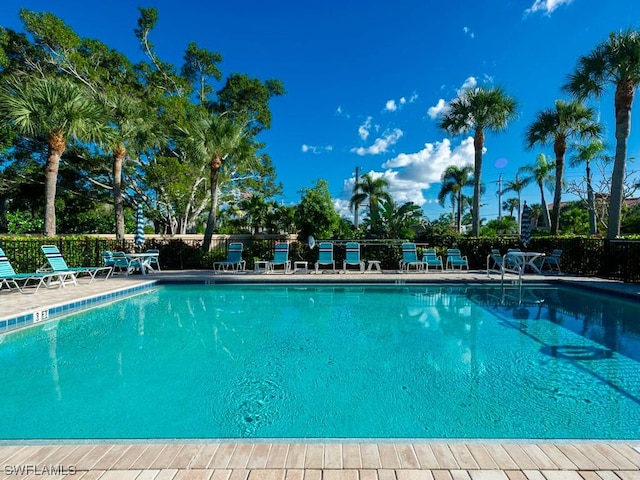 view of swimming pool