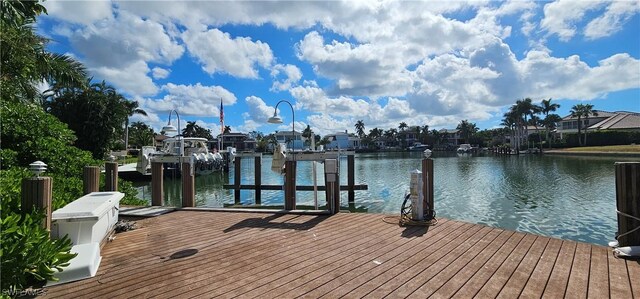 dock area with a water view