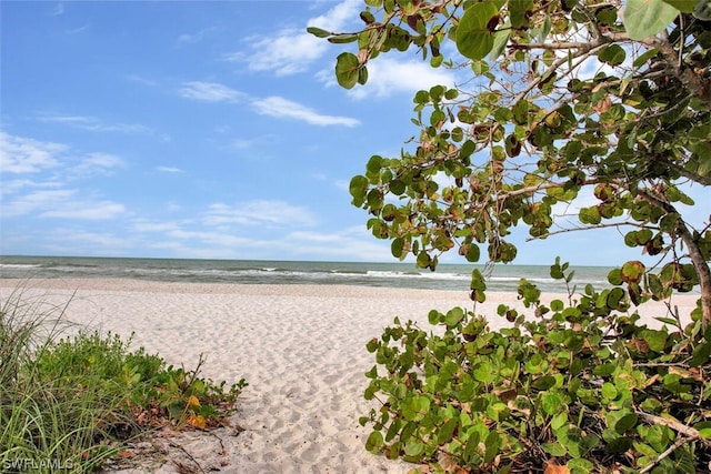 water view featuring a view of the beach