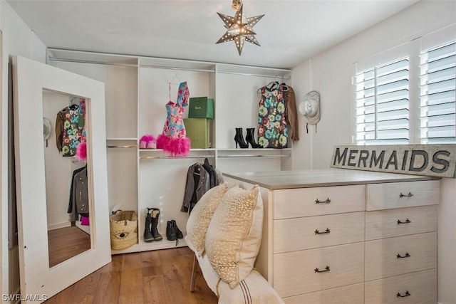 walk in closet with wood finished floors