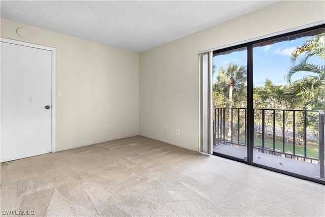 empty room featuring light colored carpet and a textured ceiling