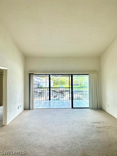 spare room with carpet floors and a healthy amount of sunlight