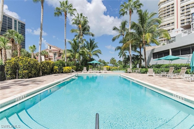 view of swimming pool featuring a patio area