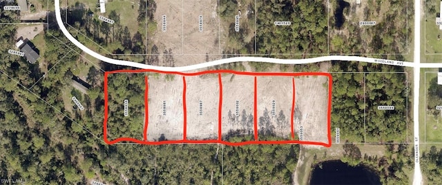 Woodland Ave, Paisley FL, 32767 land for sale