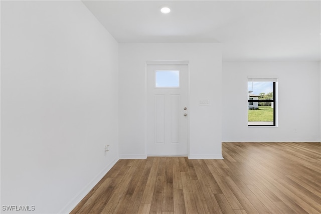 foyer with wood-type flooring