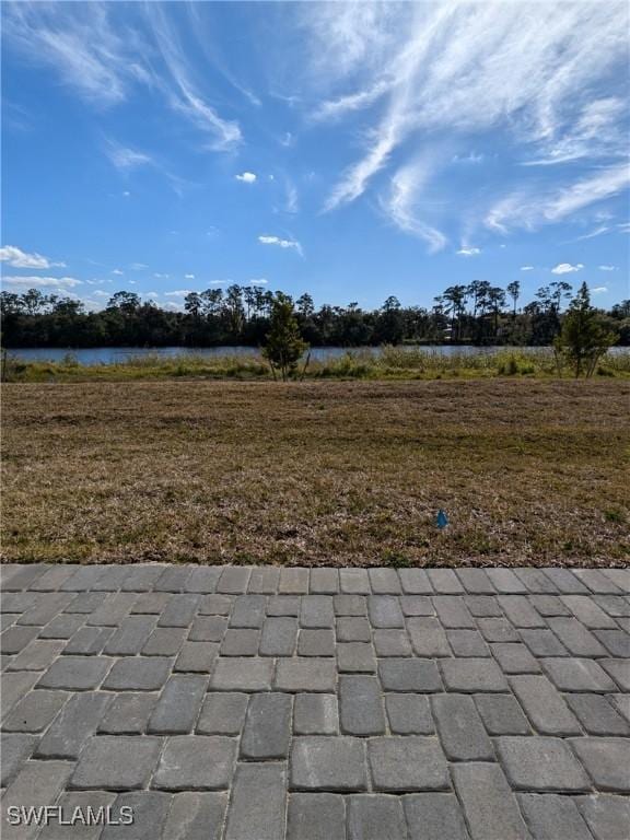 view of yard featuring a water view