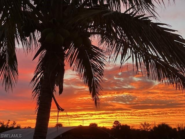 view of nature at dusk