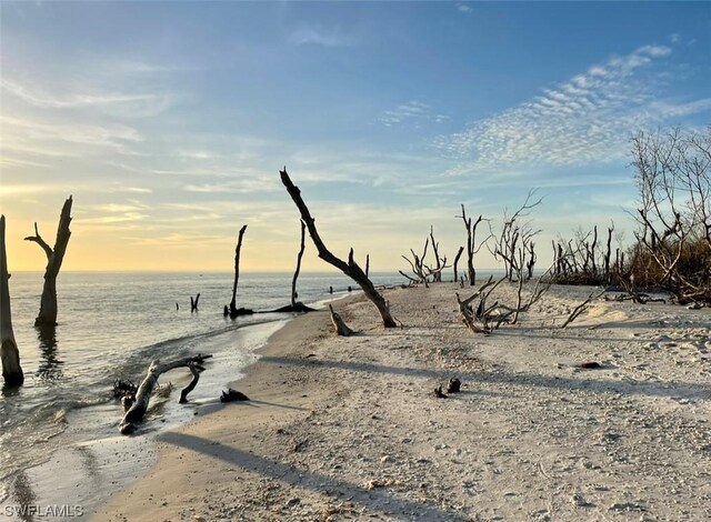 11321 Pejuan Shrs, Cayo Costa, FL 33924 - photo 31