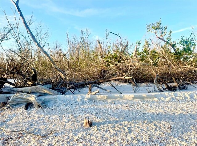 11321 Pejuan Shrs, Cayo Costa, FL 33924 - photo 22