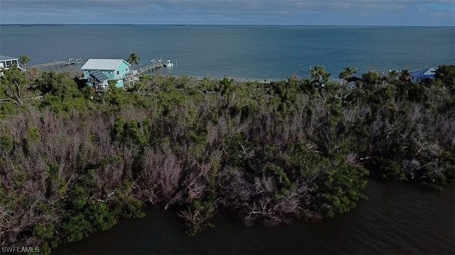 11321 Pejuan Shrs, Cayo Costa, FL 33924 - photo 16