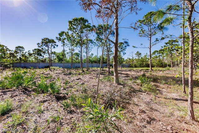 view of local wilderness