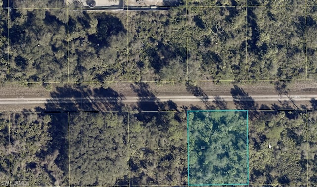 4202 E 29th St, Alva FL, 33920 land for sale