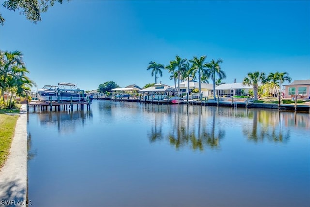 water view featuring a boat dock