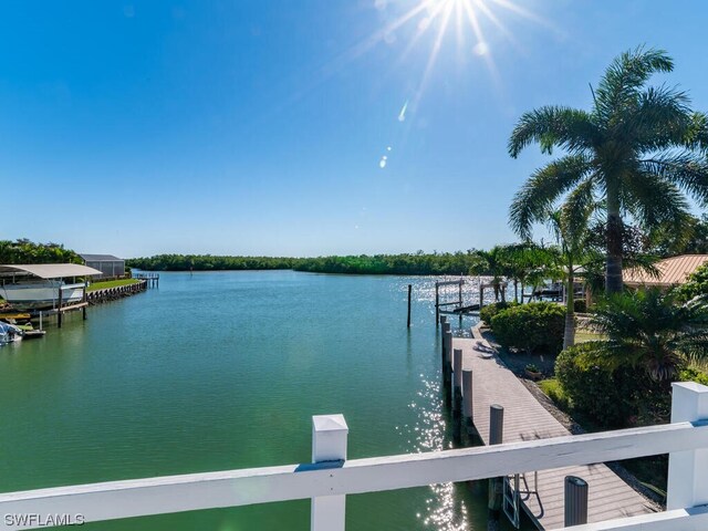 water view featuring a boat dock