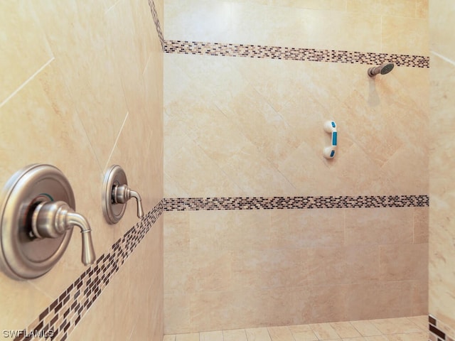 room details with tiled shower