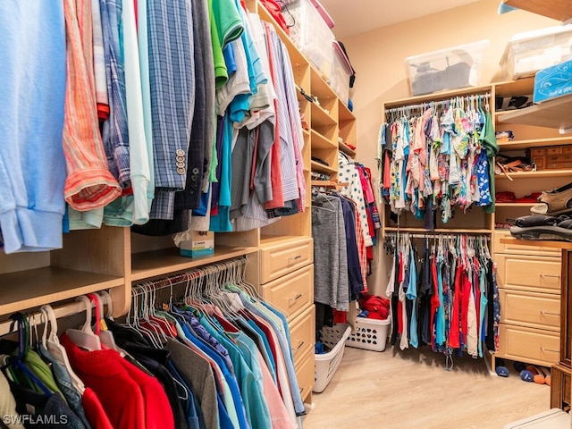 walk in closet with light hardwood / wood-style floors