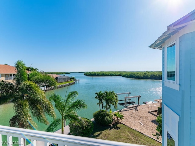 property view of water with a boat dock