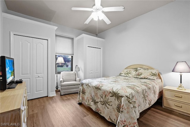 bedroom with hardwood / wood-style flooring, ceiling fan, and multiple closets