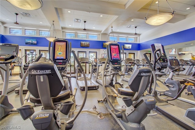 exercise room with french doors, a towering ceiling, a healthy amount of sunlight, and a drop ceiling