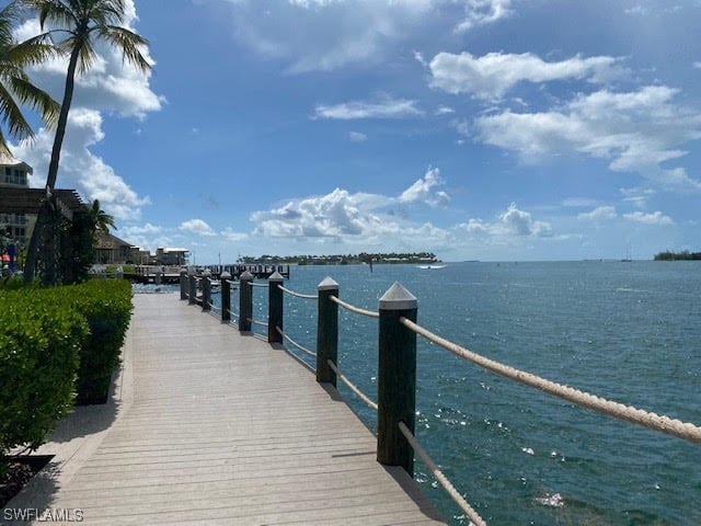 dock area with a water view