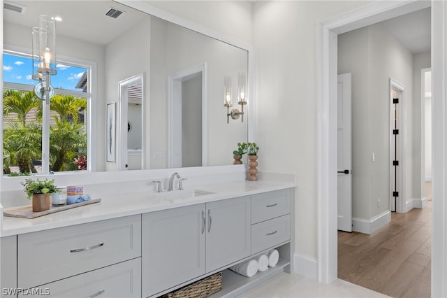 bathroom with wood-type flooring and vanity