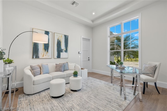 living room featuring hardwood / wood-style floors