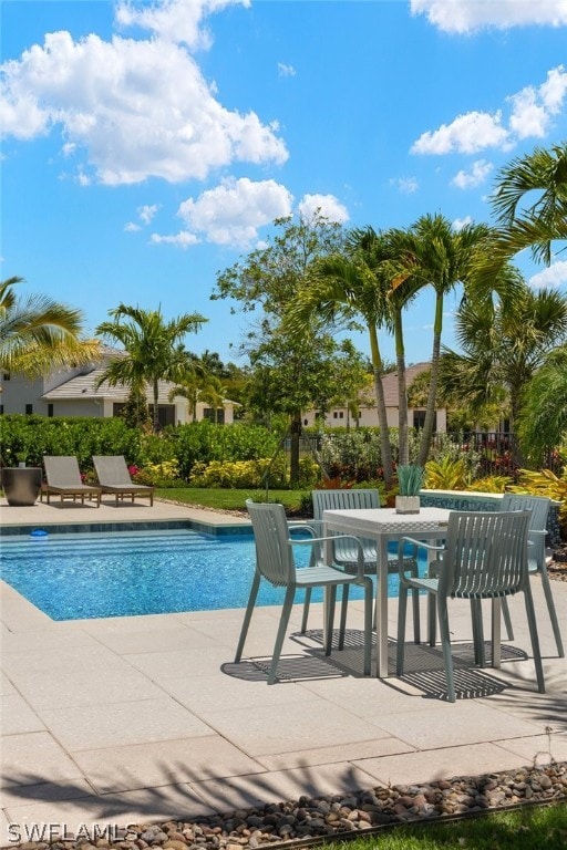 view of pool with a patio