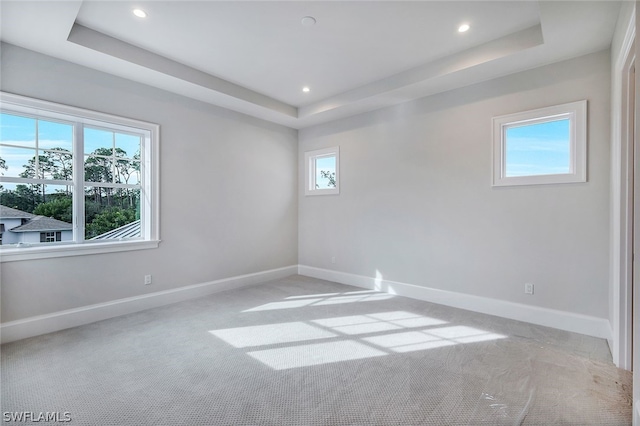 carpeted empty room with a raised ceiling