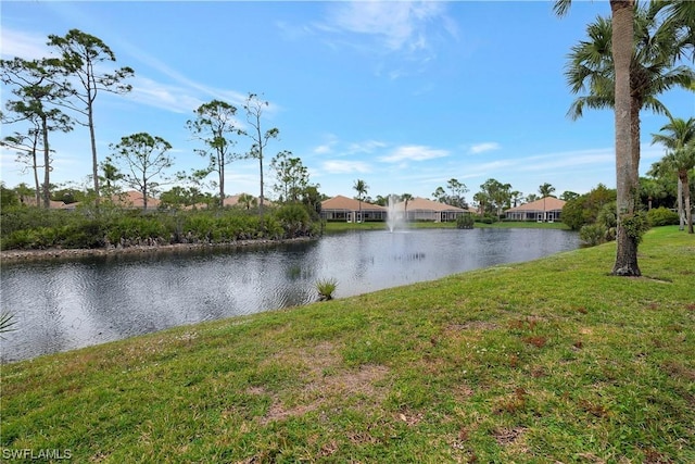 23220 Coconut Shores Dr, Estero, FL 34134 - photo 29