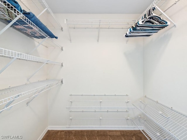 walk in closet with dark colored carpet