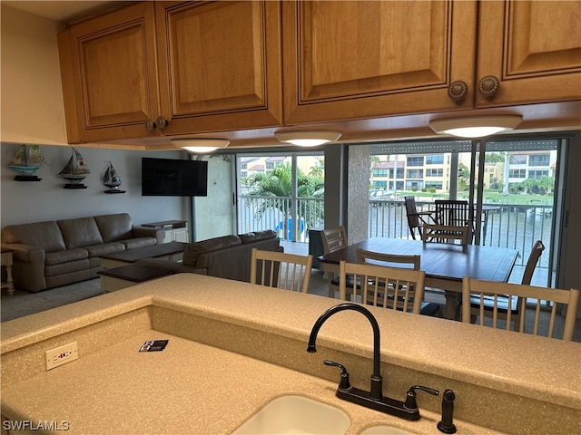 kitchen with a healthy amount of sunlight and sink