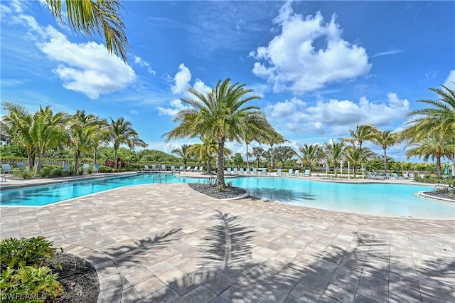 view of swimming pool featuring a patio area