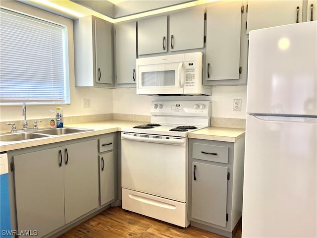 kitchen featuring gray cabinets, white appliances, light hardwood / wood-style floors, and sink