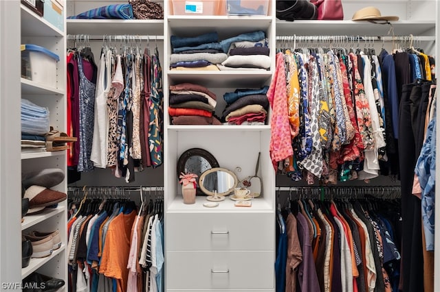 view of walk in closet