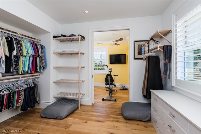 walk in closet with ceiling fan and light hardwood / wood-style floors