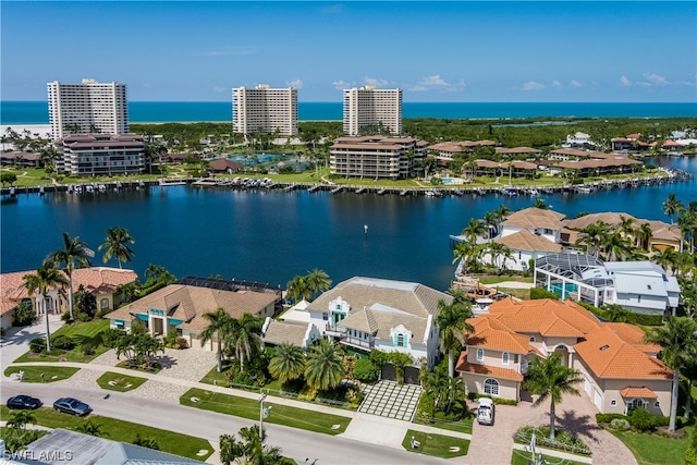 aerial view with a water view