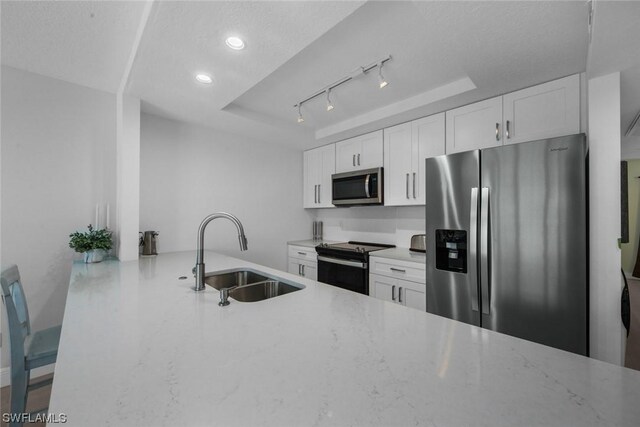 kitchen featuring white cabinets, a raised ceiling, appliances with stainless steel finishes, and sink