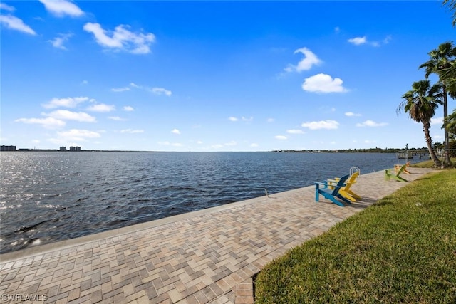 dock area with a water view