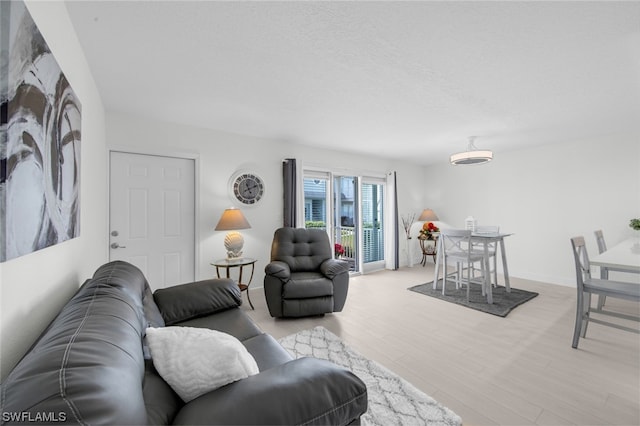 living room with light hardwood / wood-style flooring