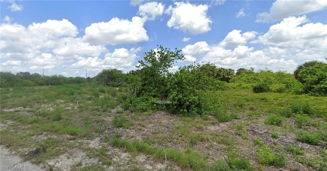 8002 Toy Ln, Labelle FL, 33935 land for sale