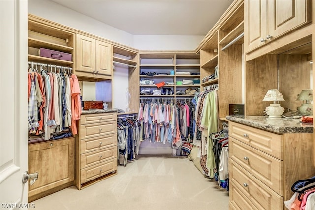 spacious closet featuring light carpet