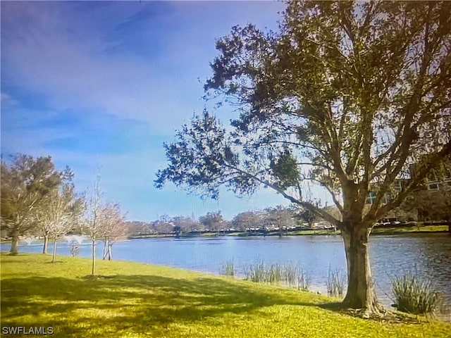 view of water feature