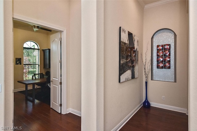 corridor featuring ornamental molding and dark wood-type flooring